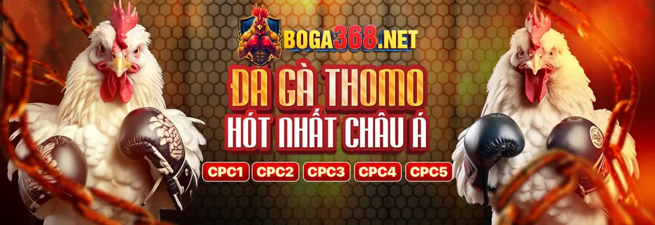 Hình ảnh tin tức 8k888